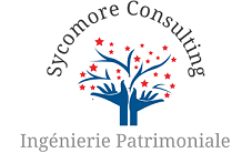 Sycomore Consulting à Strasbourg, logo
